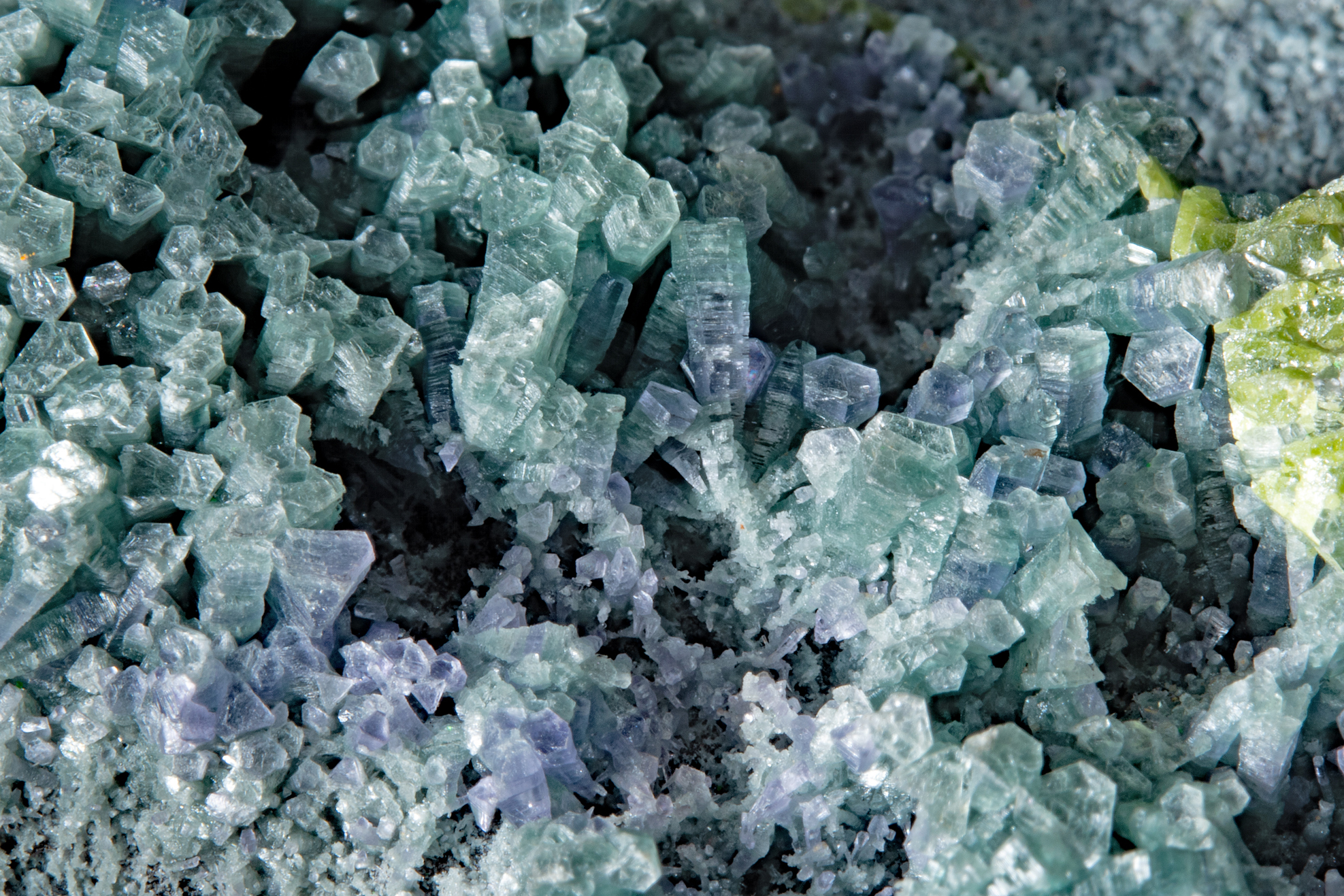 Cristaux de sphène, titanite vert-jaune à l'éclat adamantin, sur amésite